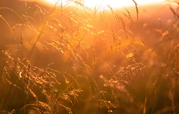 Sunset Olayları Adlı Manzara — Stok fotoğraf