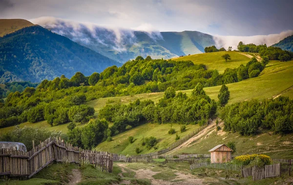 Пейзаж Під Назвою Дощова Закарпаття — стокове фото