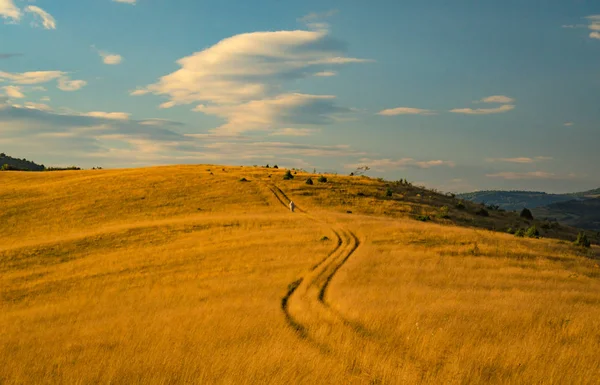 Uzun yol adı verilen peyzaj 