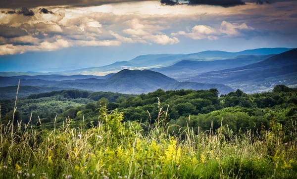 Manzara Ukrayna'nın arazi denir 