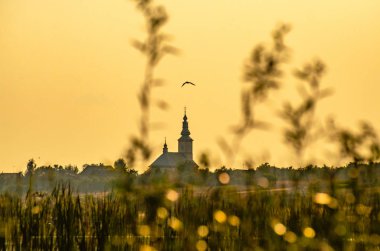 Manzara Ukrayna'nın arazi denir 