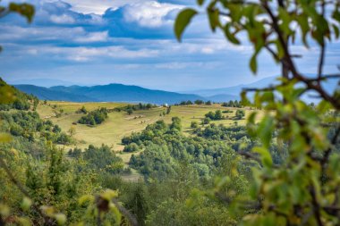Sunny Transcarpathia denilen manzara 