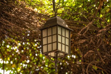 Kare ışık denilen manzara 