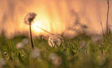Hava banyoları denilen manzara 