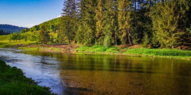 Ukrayna 'nın Toprakları 
