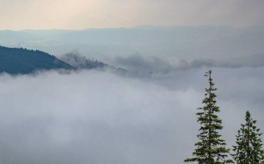 Misty Karpatlar denilen Manzara 