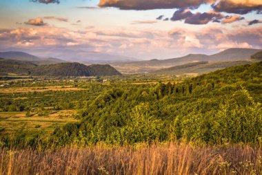 Sunny Transcarpathia denilen manzara 