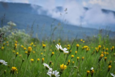 Bir fırtına dan sonra denilen Manzara 