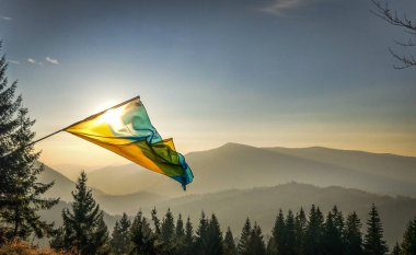 Sunny Transcarpathian denilen manzara 