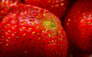 Manzara Sweet Hill denir 