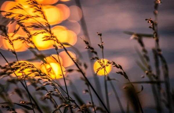 Gün batımı paleti adı verilen manzara 