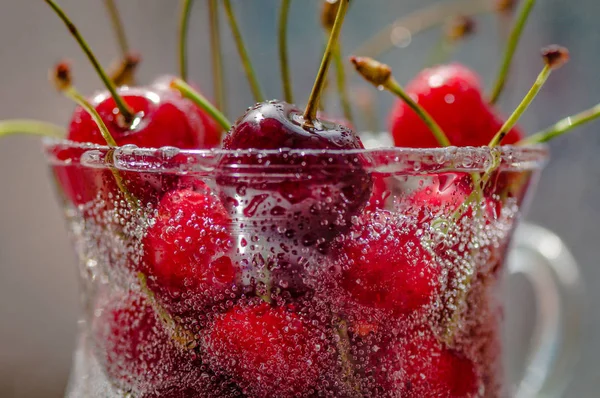 Stillleben Namens Rote Frische — Stockfoto