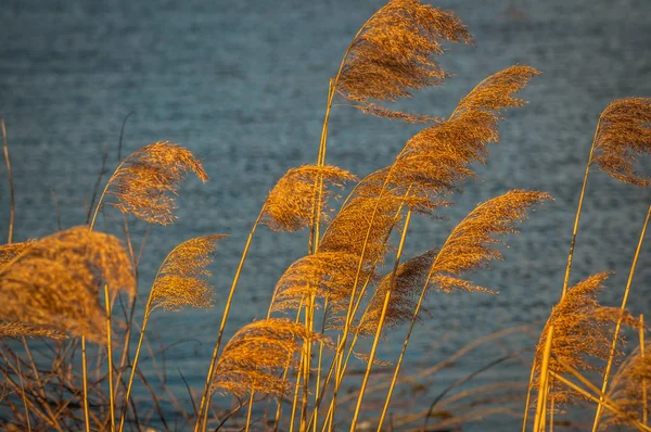 Landscape Called Fast Dance — Stock Photo, Image