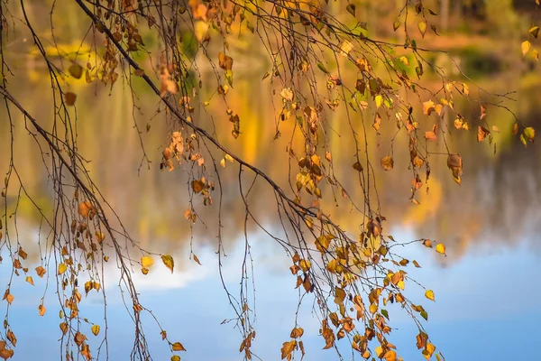 景观称为秋季水彩 — 图库照片