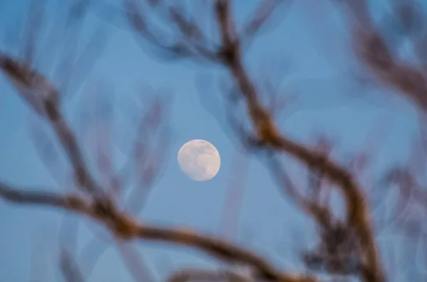 Landschap Genaamd Lunar Haiku — Stockfoto