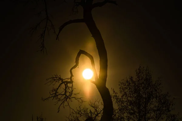 Landschap Genaamd Oude Juggler — Stockfoto