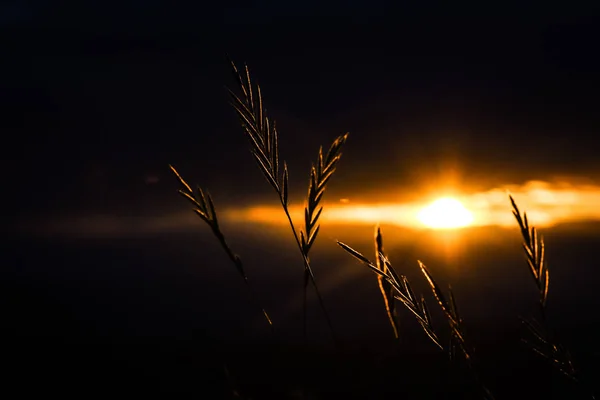 Krajina Zvaná Sunny Transcarpathia — Stock fotografie