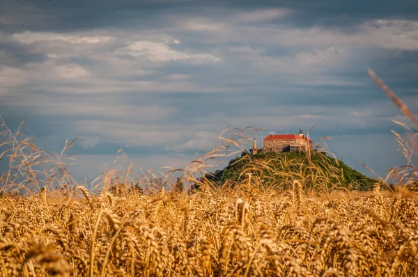 Peisaj Numit Castelul Palanok — Fotografie, imagine de stoc