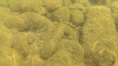 Eylül ayında dağ nehir suyu