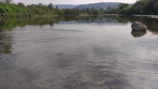 Горная Речная Вода Сентябре — стоковое видео