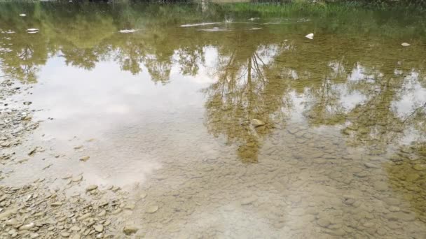 Гірська Річкова Вода Вересні — стокове відео