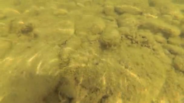 Acqua Fiume Montagna Settembre — Video Stock