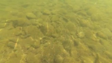 Eylül ayında dağ nehir suyu