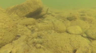 Eylül ayında dağ nehir suyu