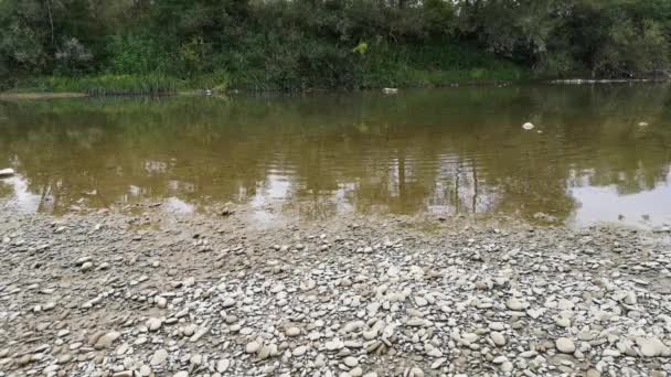 Eau de rivière de montagne en septembre 