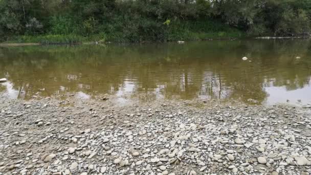 Montaña Agua Del Río Septiembre — Vídeo de stock