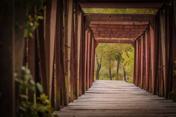 Paisaje Llamado Camino Abandonado — Foto de Stock