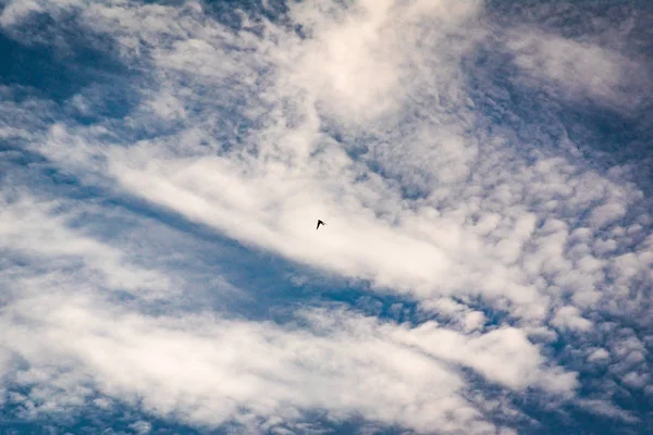Σύννεφα Κινούνται Γρήγορα Όλο Τον Ουρανό — Φωτογραφία Αρχείου
