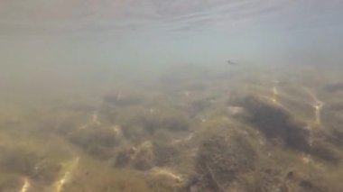 Su altında dağ nehri
