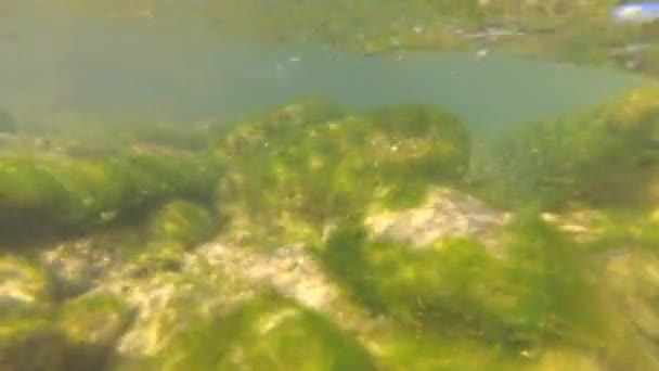 Río Montaña Bajo Agua — Vídeos de Stock