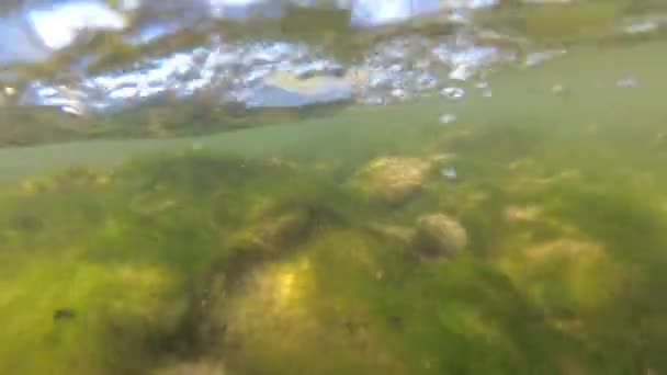 Fiume Montagna Sott Acqua — Video Stock