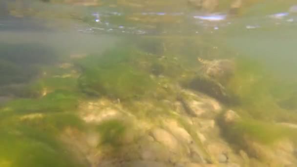 水下的山河 — 图库视频影像