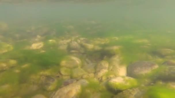 Río Montaña Bajo Agua — Vídeos de Stock