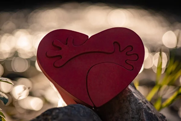 Corazón Con Abrazos Naturaleza Fondo — Foto de Stock