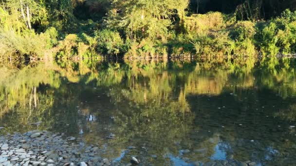Soirée à la rivière de montagne 