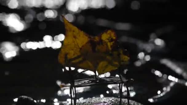 Метафорична Лавка Тлі Гірської Річки — стокове відео