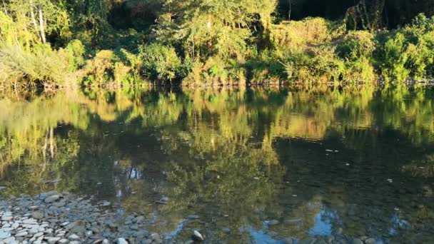 Soirée à la rivière de montagne 