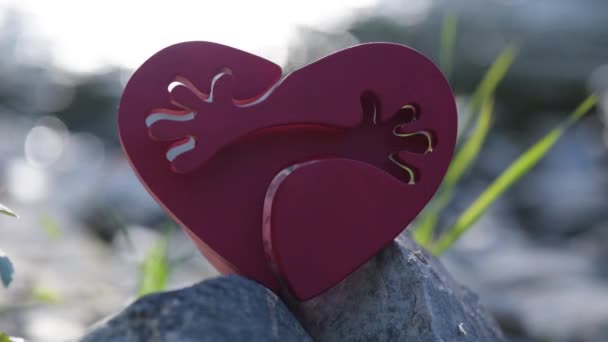 Συμβολική Καρδιά Αγκαλιές Στο Φόντο Του Ποταμού — Αρχείο Βίντεο