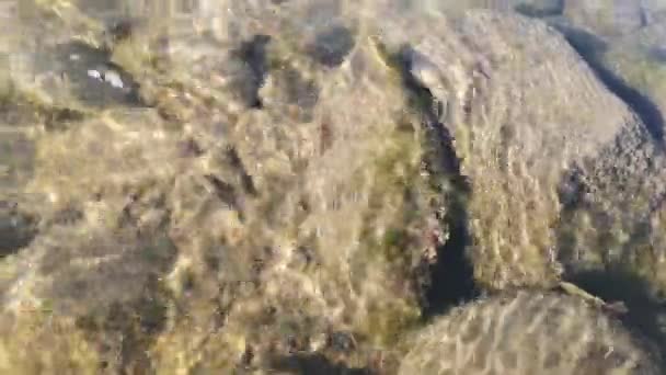 Soirée à la rivière de montagne 