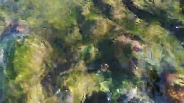 산강에서의 — 비디오