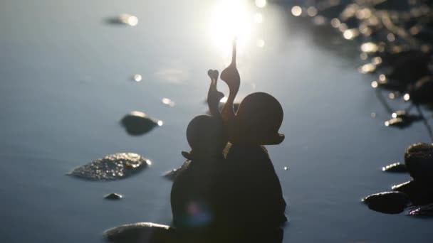 Lumaca Giocattolo Sul Fiume Montagna — Video Stock