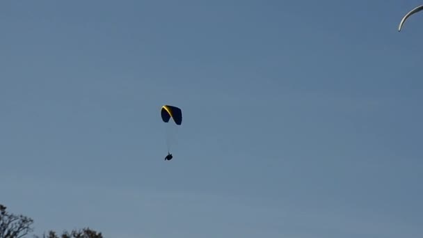Paragliders Vznáší Obloze — Stock video