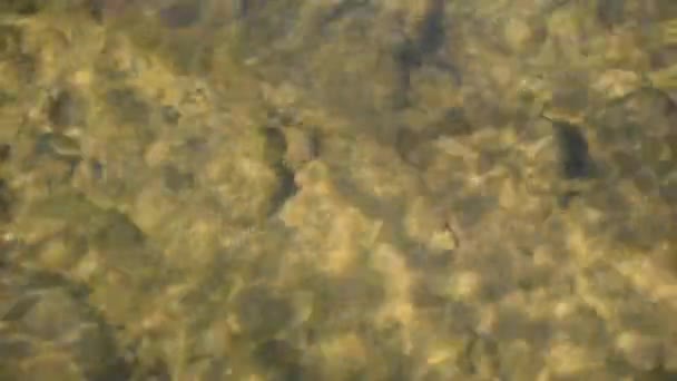 Soirée à la rivière de montagne 