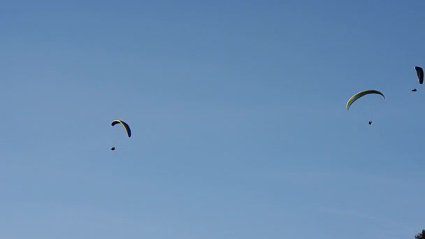 Paragliders Vznáší Obloze — Stock video