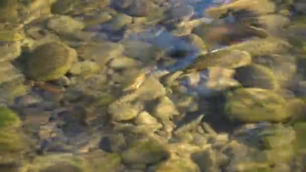 Soirée à la rivière de montagne 