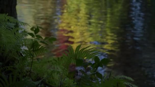 Noche Río Montaña — Vídeo de stock